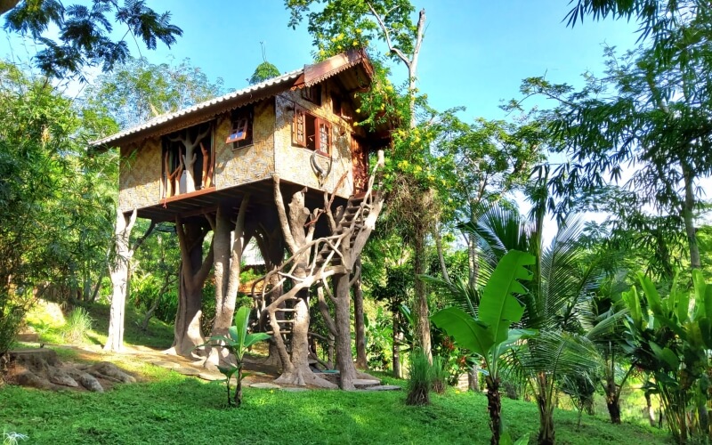 The original Treehouses on Koh Yao Noi